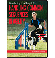 Handling Common Sequences in Agility DVD